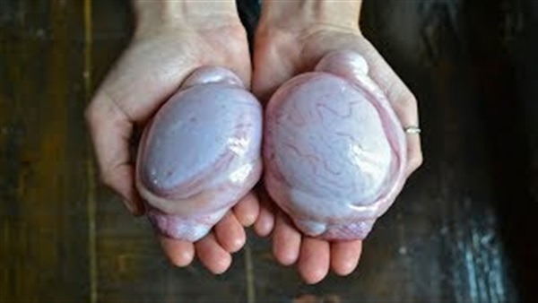 صورة من الفيديو