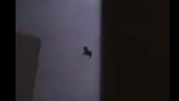 صورة من الفيديو