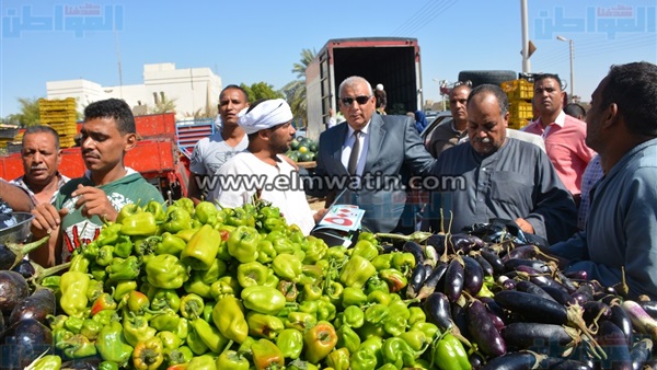 المواطن
