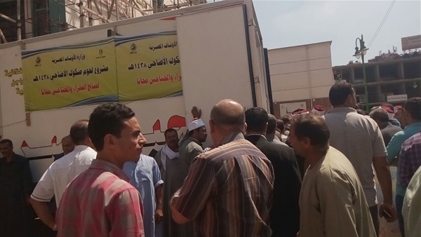المواطن