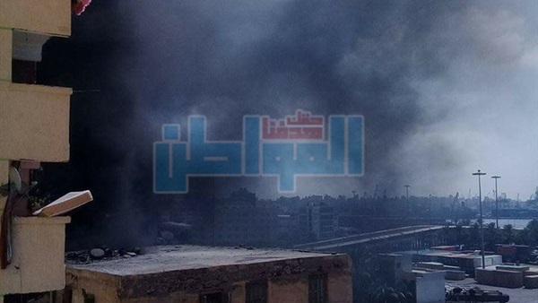 المواطن