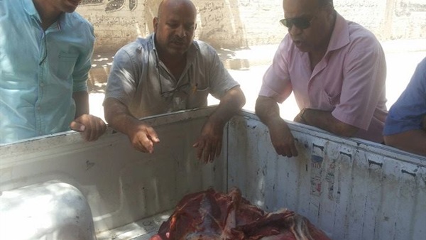 جانب من الحدث