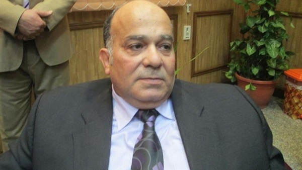 محافظ الدقهلية حسام