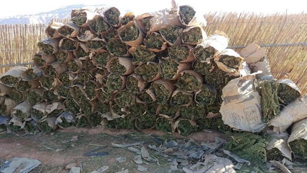 أرشيفية