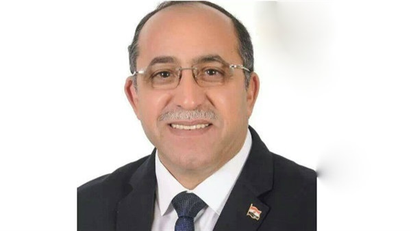 مهندس هشام ابو سنة