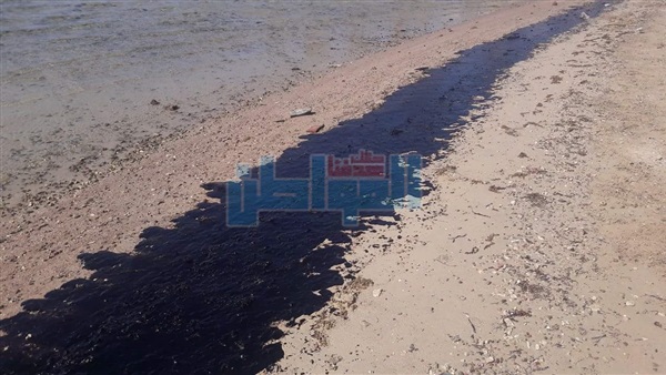 التلوث البترولى