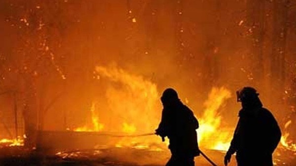 صورة أرشيفية