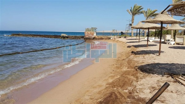 التلوث الزيتى بالغردقة