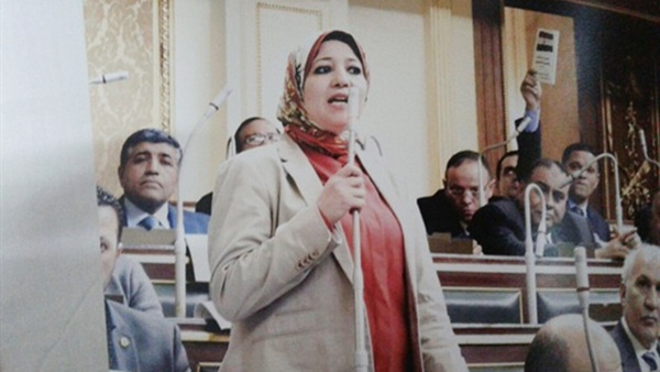 النائبة إلهام المنشاوى