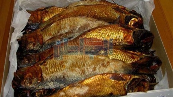 ضبط فاسد