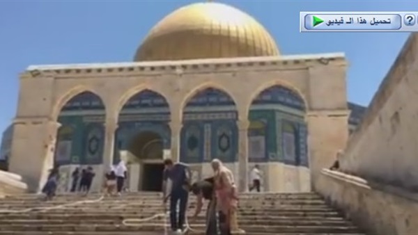 المواطن