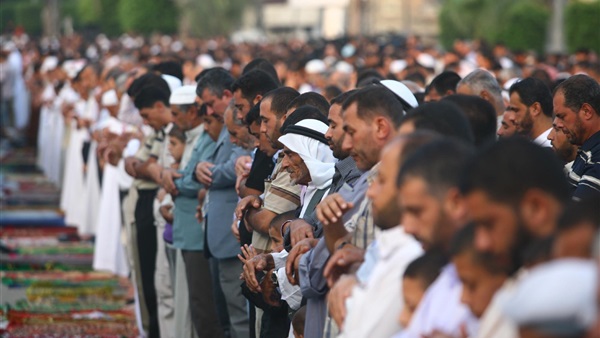 المواطن