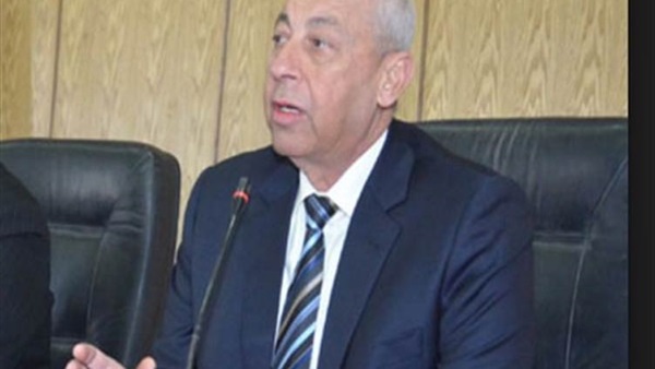 محافظ أسوان مجدي
