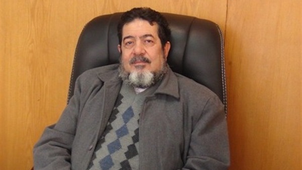 المهندس محمد حنفى،