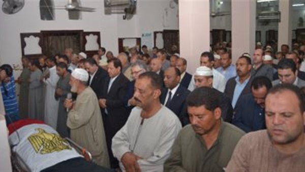 المواطن