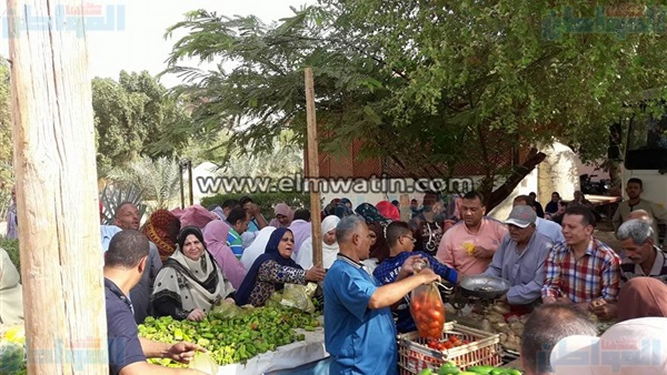 المواطن