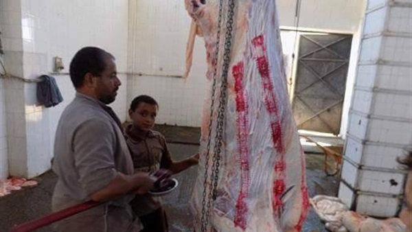 المواطن