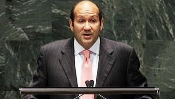 السفير هشام بدر