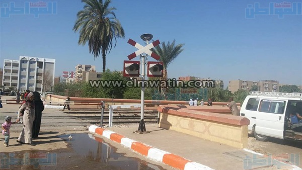 المواطن