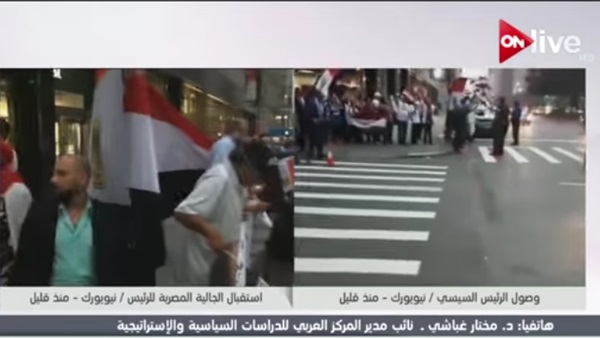 المواطن