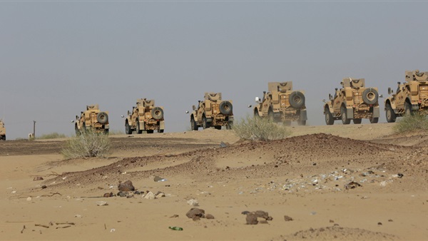 المواطن