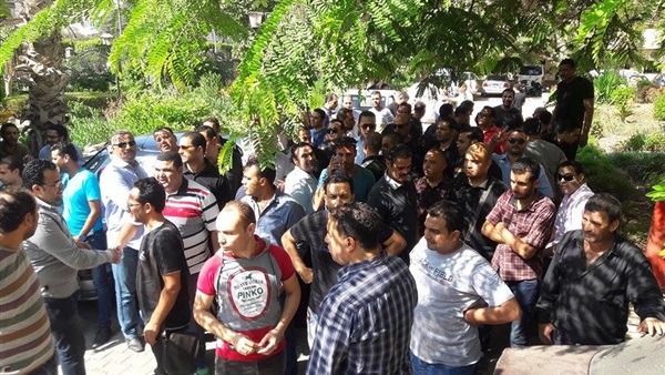 المواطن