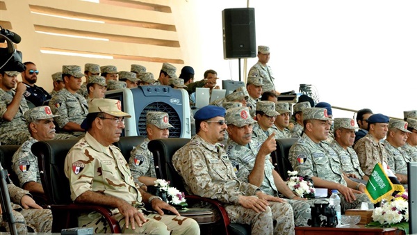 قائد القوات الجوية