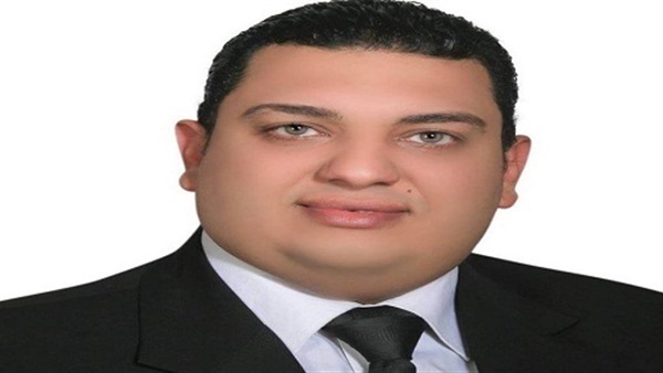 الخبير السياسي محيي