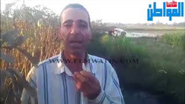 المواطن