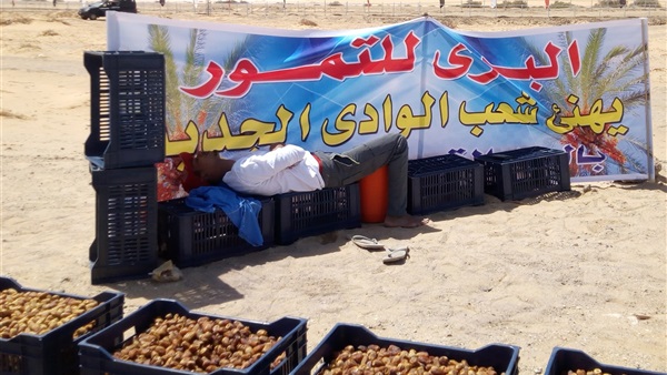 الاحتماء من اشعة