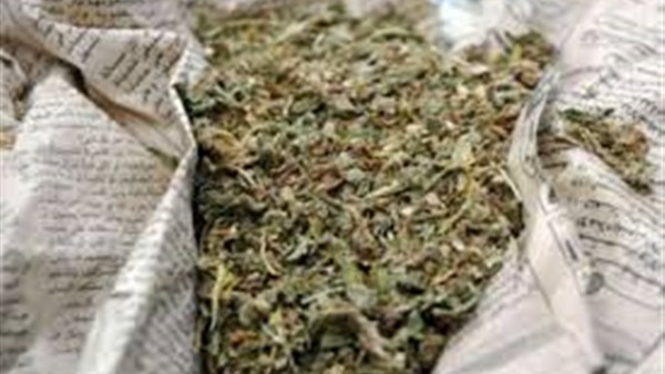 بانجو
