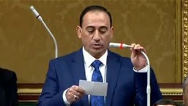 النائب محمد زين الدين