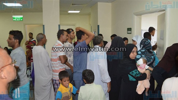 صورة من القافلة