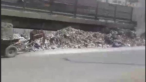 السيارة البيضاء والعربة