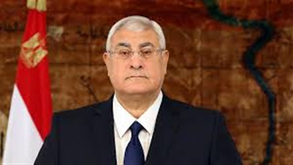 المستشار عدلى منصور