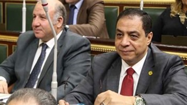 النائب حسنى حافظ