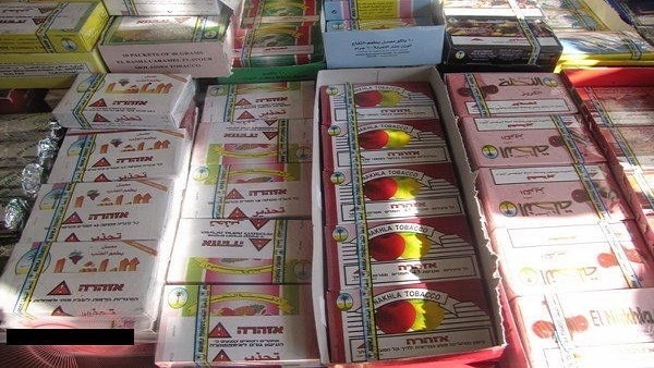 المواطن
