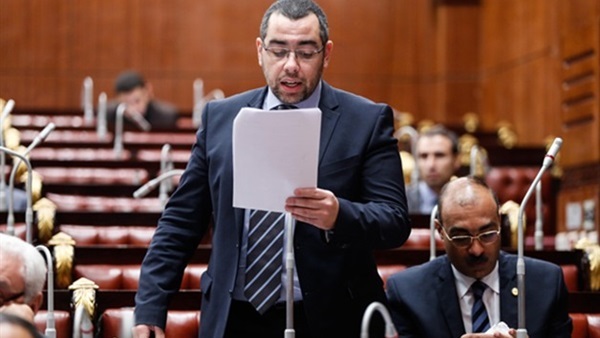 النائب محمد فؤاد