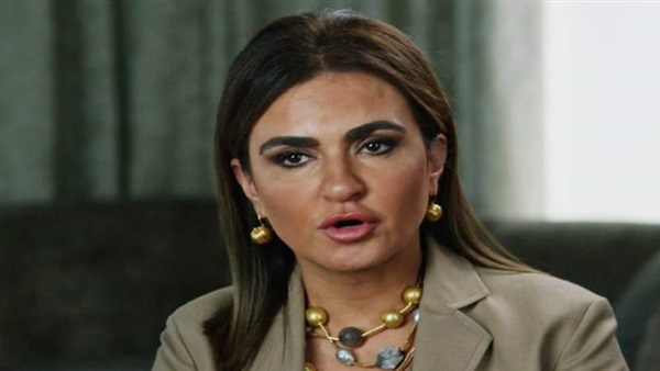 وزيرة الاستثمار