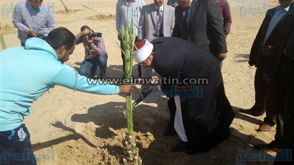 وزير الأوقاف