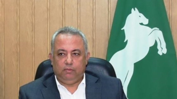 محافظ الشرقية