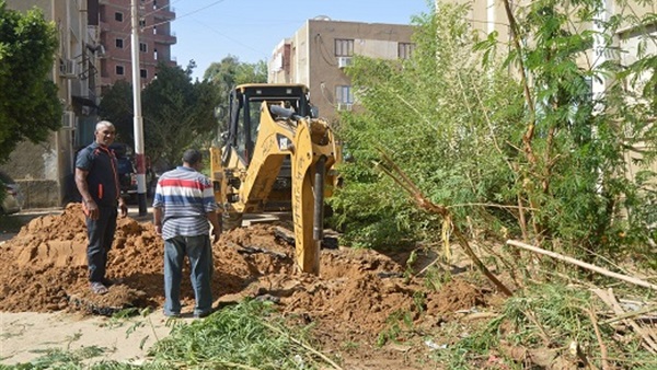 الخارجة