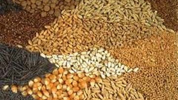 أعلاف دواجن وماشية