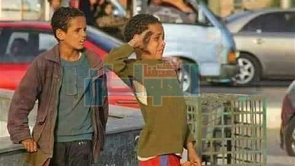 المواطن