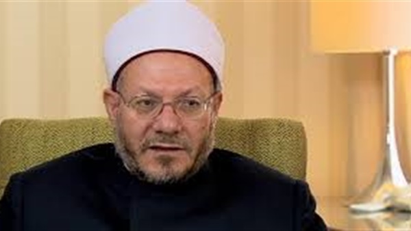 شوقي علام