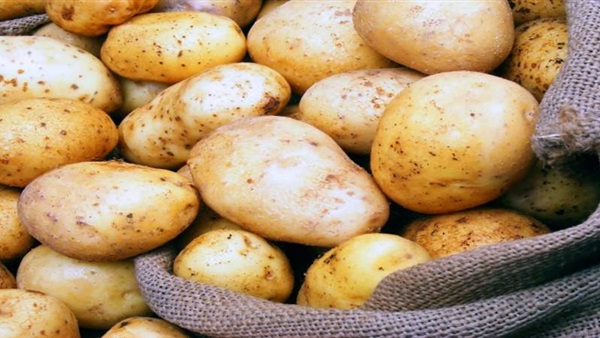 البطاطس