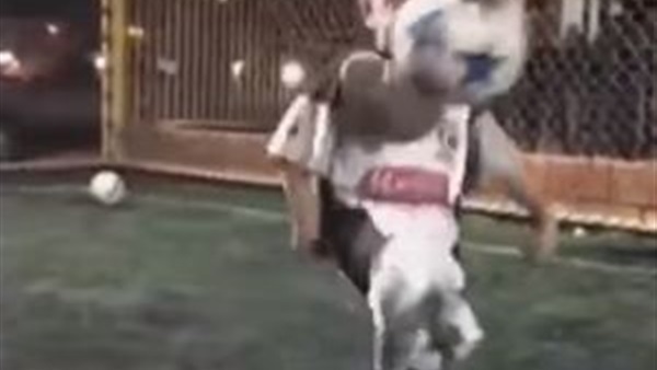 صورة من الفيديو