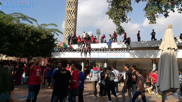 المواطن