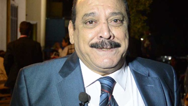 ضياء الميرغني