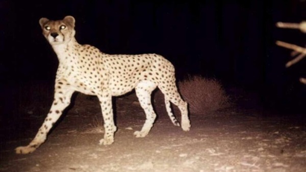 صورة من الفيديو